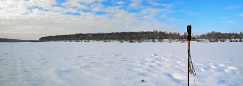 Ryb_08.02.2019-1.jpg