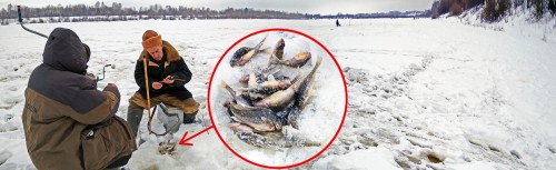 Ryb_10.02.2019-1.jpg