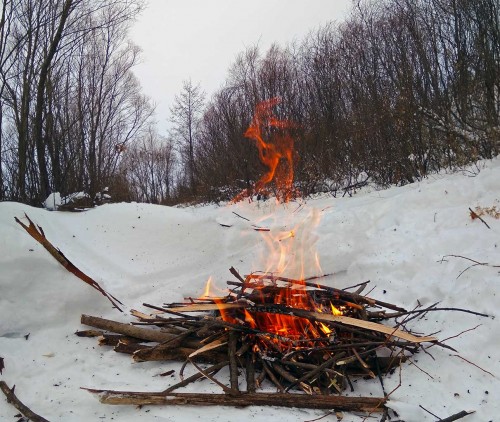 Ryb_11.02.2019-2.jpg