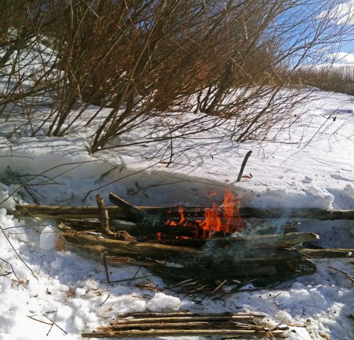 Ryb_18.02.2019-2.jpg