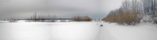 Ryb_20.02.2019-3.jpg