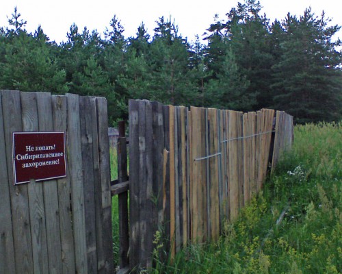 DSC00001.JPG