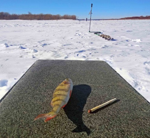 Ryb_23.02.2019-3.jpg
