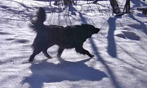 Ryb_23.02.2019-4.jpg