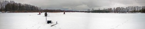 Ryb_26.02.2019-2.jpg