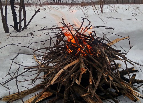 Ryb_26.02.2019-3.jpg