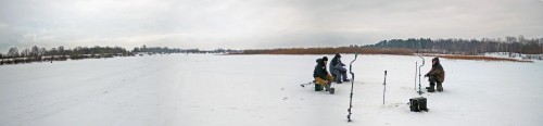 Ryb_01.03.2019-1.jpg