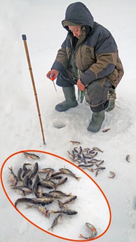 Ryb_01.03.2019-3.jpg