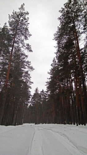 Ryb_02.03.2019-2.jpg