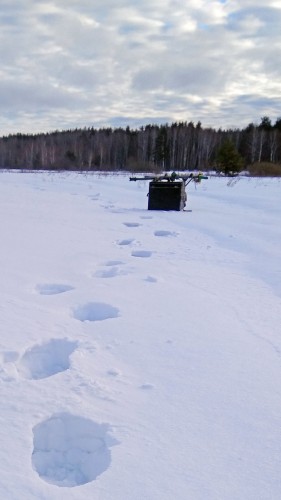 Ryb_02.03.2019-3.jpg