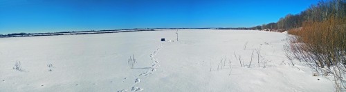 Ryb_02.03.2019-4.jpg