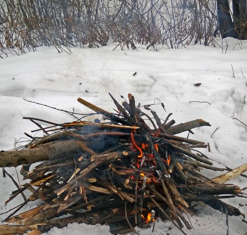 Ryb_09.03.2019-2.jpg