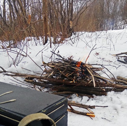 Ryb_11.03.2019-3.jpg