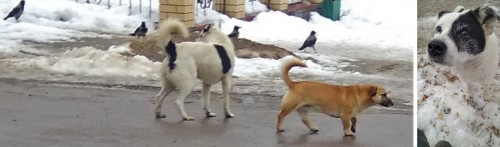 Ryb_11.03.2019-5.jpg