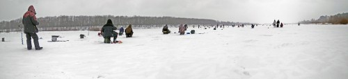 Ryb_16.03.2019-2.jpg