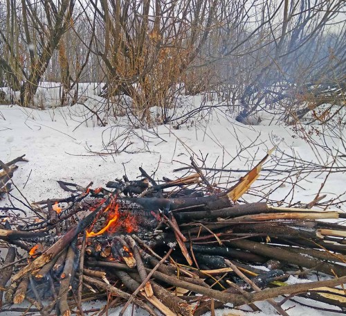 Ryb_16.03.2019-3.jpg
