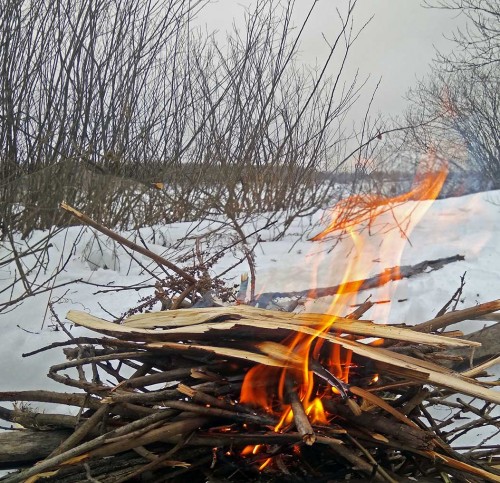 Ryb_18.03.2019-3.jpg
