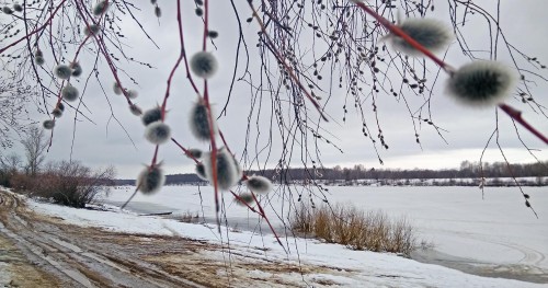 Ryb_24.03.2019-7.jpg