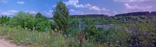 Klubnika_30062011_1.jpg