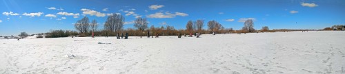 Ryb_29.03.2019-1.jpg