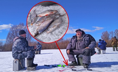 Ryb_29.03.2019-4.jpg