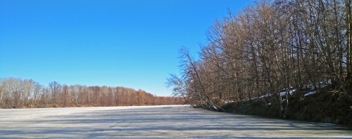 Ryb_03.04.2019-3.jpg