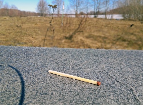 Ryb_03.04.2019-5.jpg