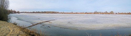 Ryb_04.04.2019-1.jpg