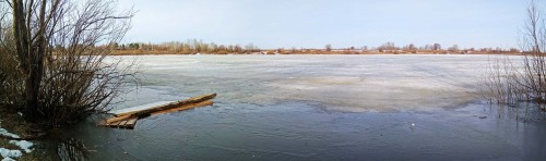 Ryb_04.04.2019-2.jpg