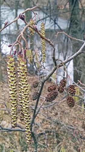 Les_10.04.2019-2.jpg