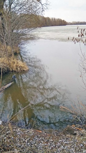 Les_10.04.2019-6.jpg
