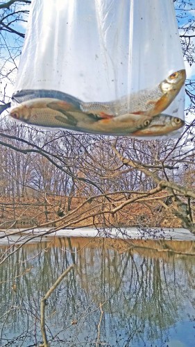 Les_10.04.2019-7.jpg