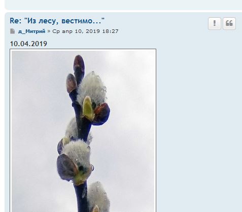 Les-2019.JPG