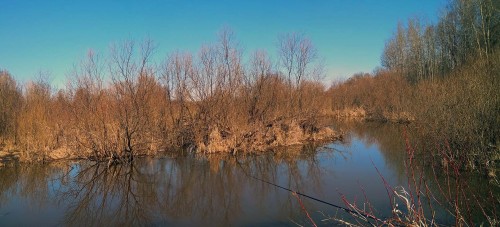 Les_15.04.2019-4.jpg
