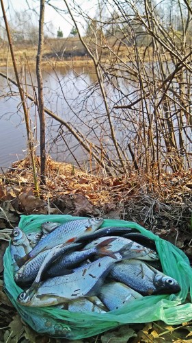 Les_21.04.2019-3.jpg
