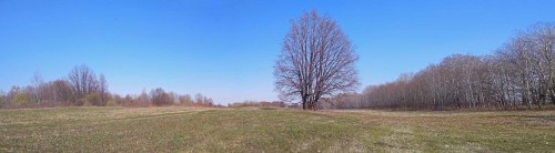 Les_25.04.2019-2.jpg