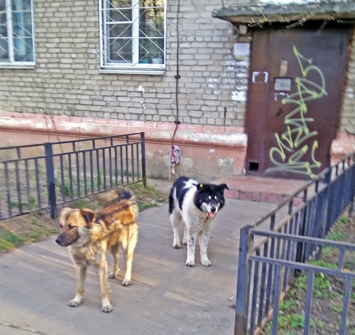Les_25.04.2019-4.jpg