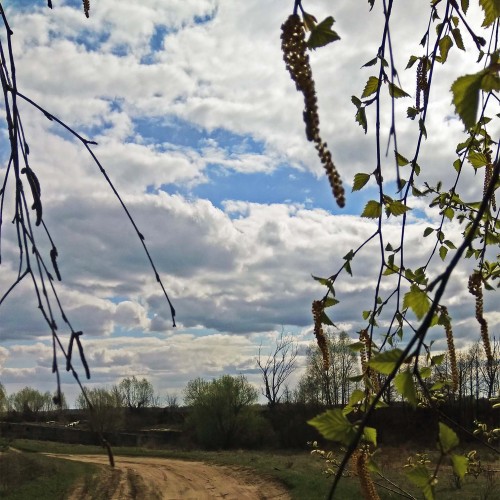 Les_29.04.2019-2.jpg