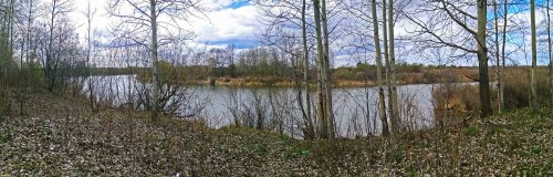 Les_29.04.2019-4.jpg