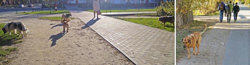 Les_29.04.2019-6.jpg