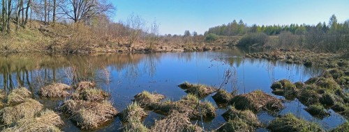 Les_01.05.2019-2.jpg