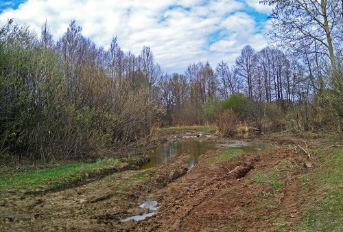 Les_03.05.2019-5.jpg