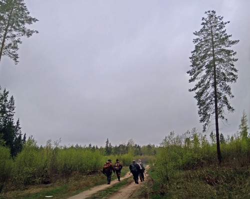 Les_05.05.2019-2.jpg