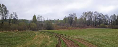 Les_05.05.2019-3.jpg