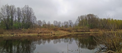 Les_05.05.2019-6.jpg