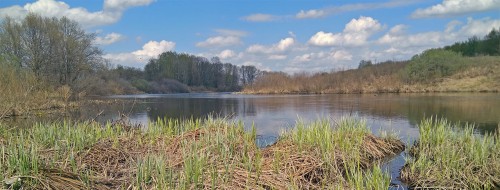 Les_05.05.2019-8.jpg