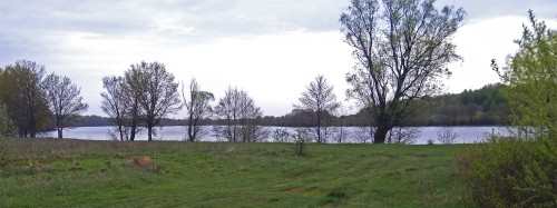 Les_07.05.2019-3.jpg