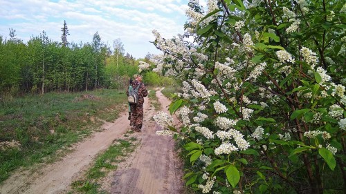 Les_10.05.2019-2.jpg
