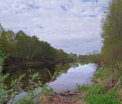 Les_10.05.2019-3.jpg