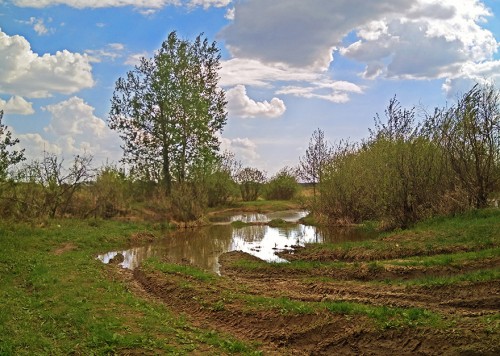 Les_10.05.2019-7.jpg